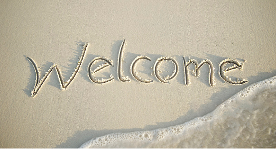 参加微淼财商教育 12 天小白理财训练营 心得体会